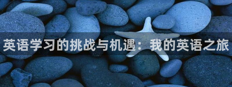 v站体育官网app下载：英语学习的挑战与机遇：我的英语之旅