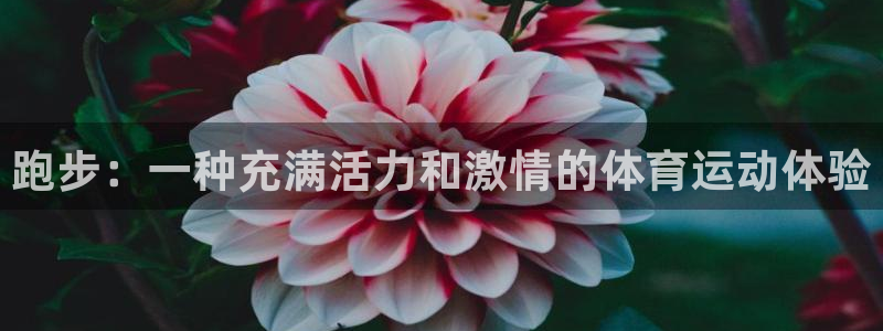 v站体育旧版：跑步：一种充满活力和激情的体育运动体验