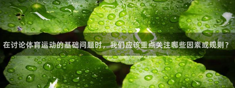 v站体育app官方下载：在讨论体育运动的基础问题时，我们应该重点关注哪些因素或规则？