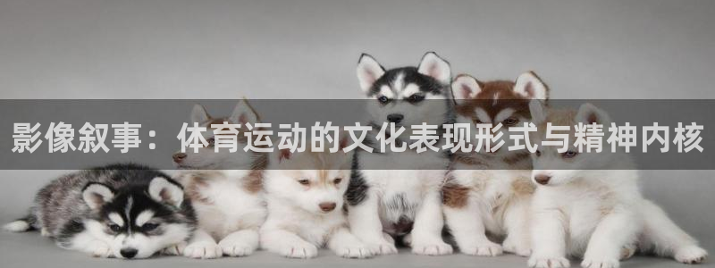 v站体育旧版：影像叙事：体育运动的文化表现形式与精神内核