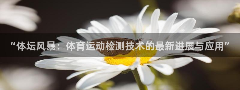 v站体育app下载安卓：“体坛风暴：体育运动检测技术的最新进展与应用”